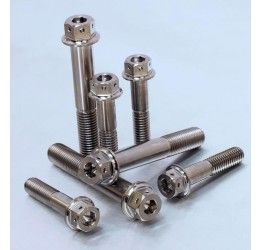 Engine screw kit Dual Drive TITANIUM Pro-Bolt for Aprilia RSV4 1000 RF ABS 2017