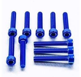 Screw Kit ERGAL Pro-Bolt for X-PAD pads replacement M5x0.8x30mm - 12 screws