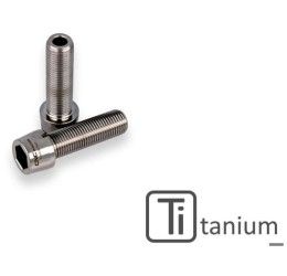 CNC Racing Rear Hub Swingarm Pinch Bolt (2 pcs) TITANIUM for Ducati Multistrada 1260 S 18-20