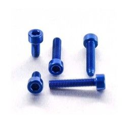 Fuel cap screw kit ERGAL Pro-Bolt for Ducati Monster 695 06-08 - 5 bolts