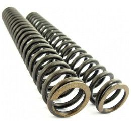Fork spings Andreani (2 spings) for BMW R 80 GS 88-96
