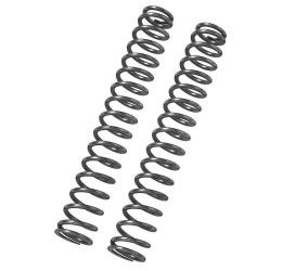 Fork linear springs Bitubo (2 springs with oil) for Aprilia RSV 1000 98-03