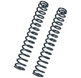 Fork linear springs Bitubo (2 springs with oil) for Moto Guzzi V7 II Stone ABS 15-16