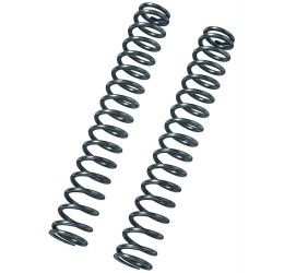 Fork linear springs Bitubo (2 springs with oil) for Moto Guzzi V7 IV Stone 21-25