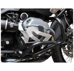 Ibex Zieger cylinder protection for BMW R nine T Pure 17-20 (Couple)