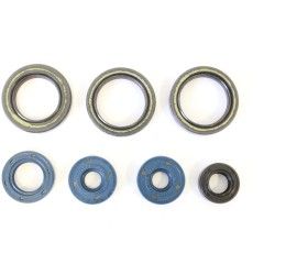 Athena Oil Seal kit for Aprilia RX 125 95-01