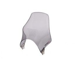 Puig screen model naked for Suzuki Bandit 1250 07-09 clear smoke color