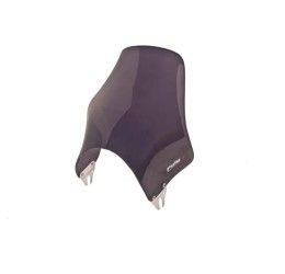 Puig screen model naked for Suzuki Bandit 1250 07-09 dark smoke color