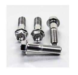Pro-Bolt STAINLESS STEEL front brake caliper mount bolt for Aprilia Pegaso 650 Factory 07-11 hex head