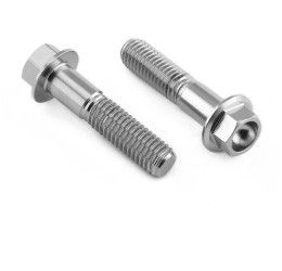 Pro-Bolt STAINLESS STEEL front brake caliper mount bolt for Aprilia RS 125 99-05 hex head