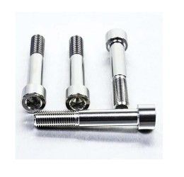 Pro-Bolt STAINLESS STEEL front brake caliper mount bolt for Ducati 1098 S 07-10 Parallel head