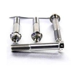 Pro-Bolt STAINLESS STEEL front brake caliper mount drilled bolt for BMW R 1200 GS Adventure 14-18 Race spec model