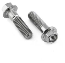 Pro-Bolt TITANIUM rear brake caliper mount bolt for Suzuki Bandit 600 95-99 hex head