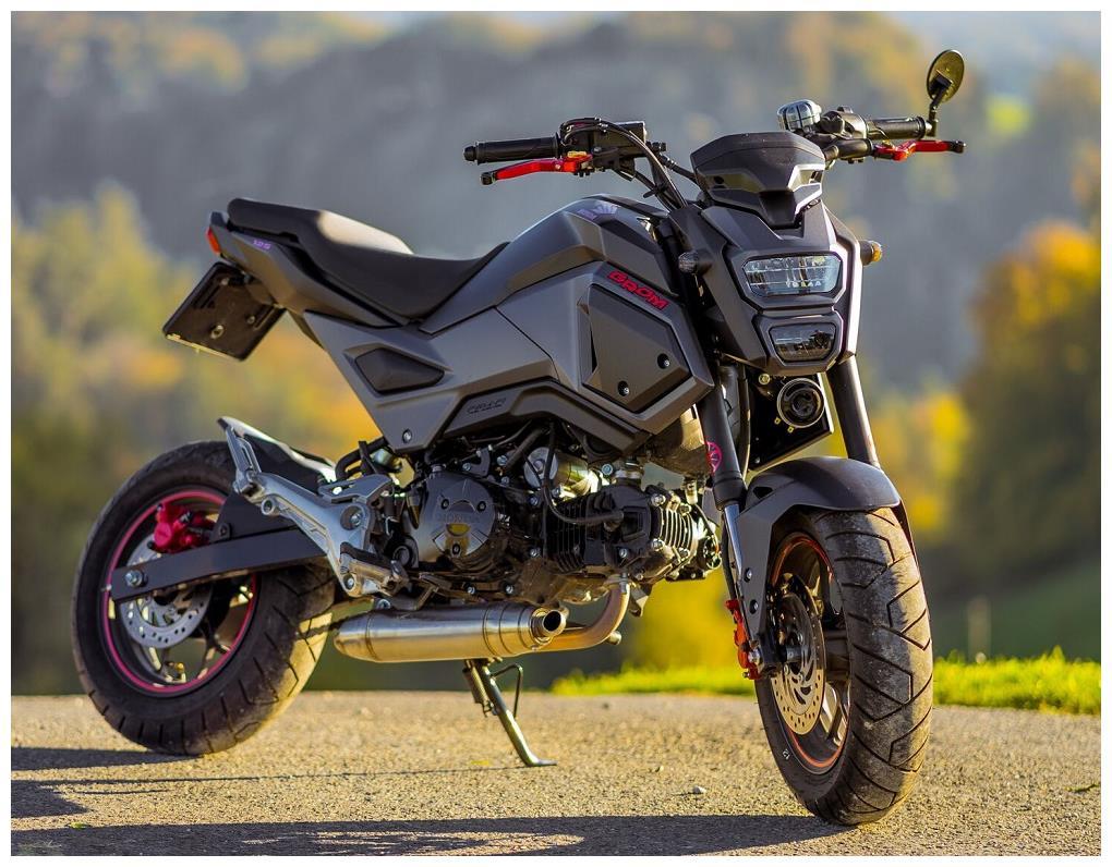 Honda grom no deals exhaust